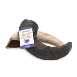 Icelandic+ Large Lamb Horn with Marrow