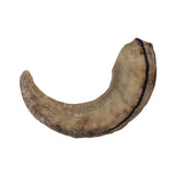 Icelandic+ Large Lamb Horn with Marrow
