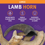 Icelandic+ Large Lamb Horn with Marrow