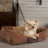Scruffs Cheste Box Bed Chocolate