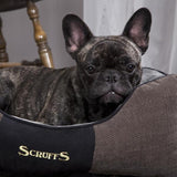Scruffs CHESTER Box Bed Graphite