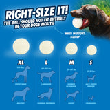 Chuckit! Max Glow Ball Medium