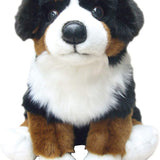 Bernese Mountain Dog