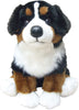 Bernese Mountain Dog
