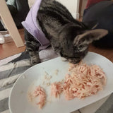 Dr. Clauder´s Best Filet No 1 - Tuna 70gr