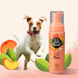 Pet Head Quick Fix Foam - 200ml