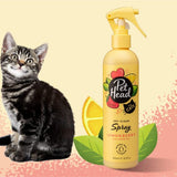 Kitten with Pet Head Felin Good Spray