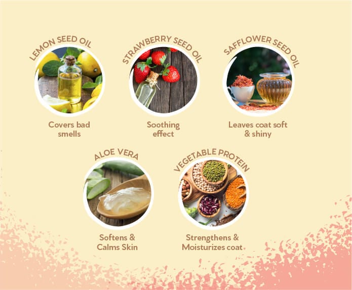Key ingredients — lemon, strawberry, safflower, aloe vera, vegetable protein