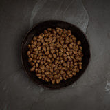 Canagan Grain Free Dog - Free Run Chicken