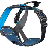 CarSafe Crash Tested Dog Harness - Blue