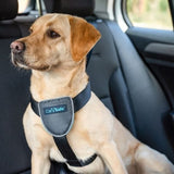 CarSafe Dog Travel Harness Black Large