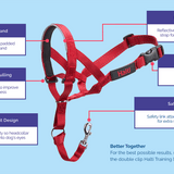 Company Of Animals - Halti Headcollar