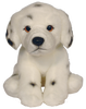 Dalmatian