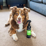 Animology Stink Bomb Refreshing Spray - 250ml
