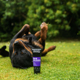 Animology True Colours Shampoo - 250ml