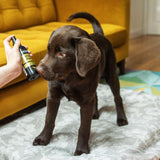 Animology Cloud K9 Fragrance Mist - 150ml