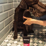 Animology Puppy Love Shampoo - 250ml