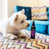 Animology Heaven Scent Fragrance Mist - 150ml