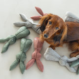 Velvet Dog Toy Rabbit Alina Grey 27