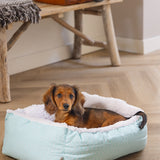 Puppy Rest Bed Nappy Blue 50X42X18