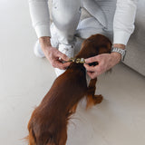 Dog Harness Velura Grátt Medium