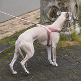 Dog Harness Velura Pink M