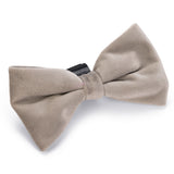 Velvet Hunda Slaufa Zaza Grá 9