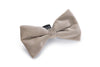 Velvet Hunda Slaufa Zaza Grey 12