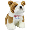 Winston the Bulldog