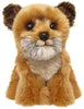 Border Terrier
