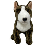 Bull Terrier - Brindle