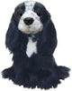 Cocker Spaniel