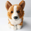 Welsh Pembroke Corgi
