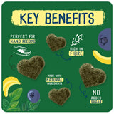 Burgess Excel Fruity Feasts - 60g