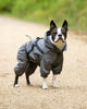 Hugo & Hudson Winter Snowsuit - Grey