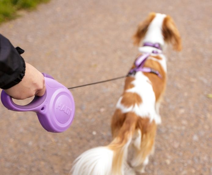 Halti Retractable Lead - í notkun