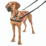 Halti Front Control Harness Large