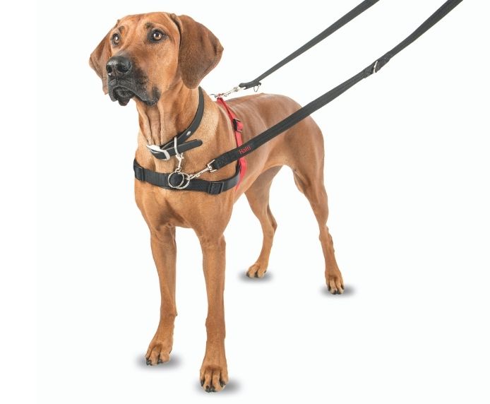Halti Front Control Harness Large