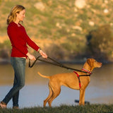 Halti Front Control Harness Medium