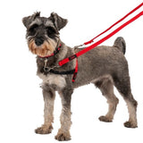 Halti Front Control Harness Small