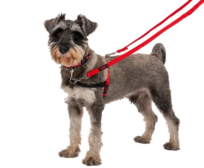 Halti Front Control Harness Small