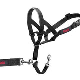 Company Of Animals - Halti Headcollar