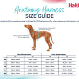 Halti Anatomy Harness Grey Medium