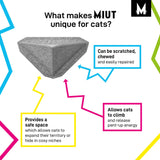 Company of Animals MIUT