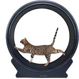 Forpöntun - Petlux Running Wheel V2 - LED Svart