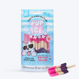 Pup Ice Lollies Strawberry & Blueberry
