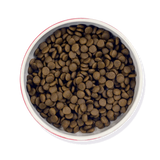 Meowing Heads Senior Moments