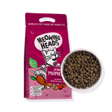 Meowing Heads Senior Moments