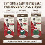 KONG Brisket Dental Ball Kit 1oz