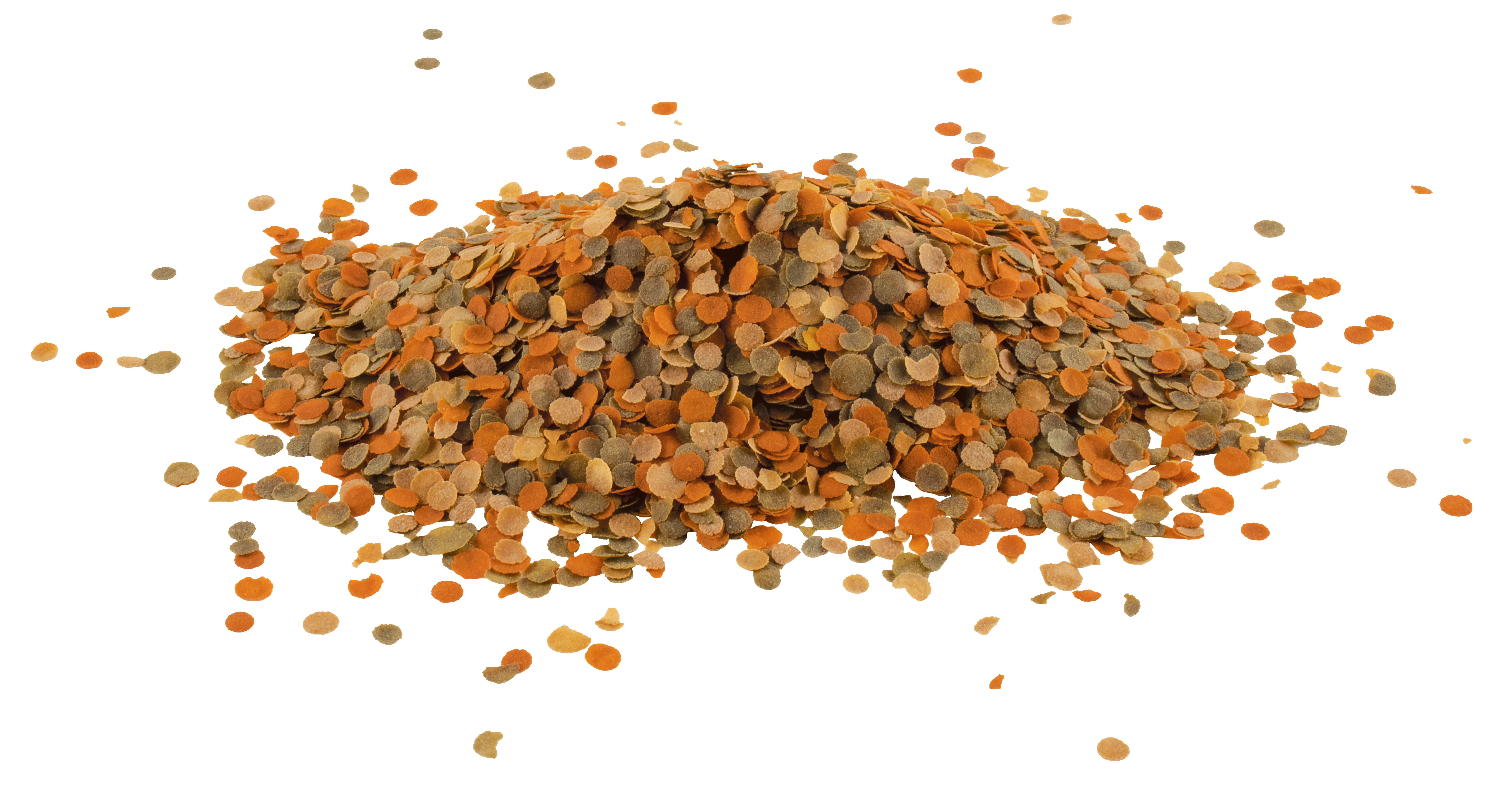 TetraMin Crisps nærmynd